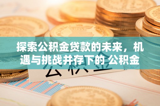 关山探索公积金贷款的未来，机遇与挑战并存下的 公积金贷款风险防控