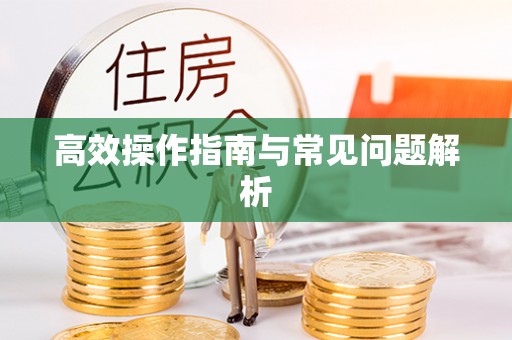 关山高效操作指南与常见问题解析