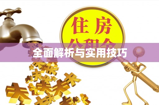 关山全面解析与实用技巧