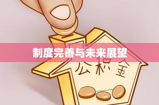 关山制度完善与未来展望