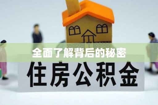 关山全面了解背后的秘密