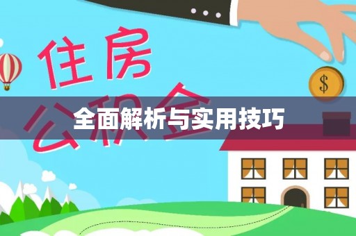 关山全面解析与实用技巧