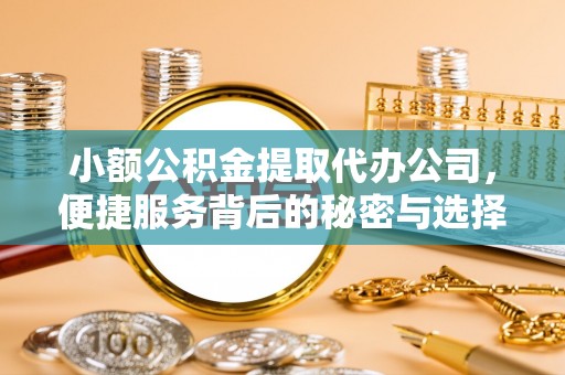 关山小额公积金提取代办公司，便捷服务背后的秘密与选择指南