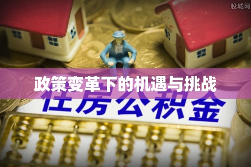 关山政策变革下的机遇与挑战