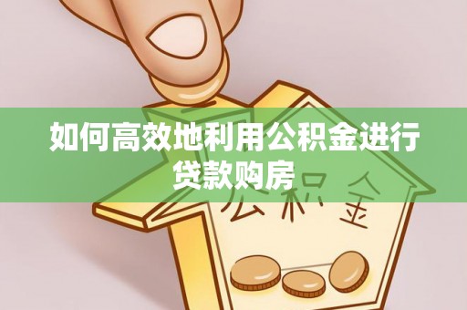 关山如何高效地利用公积金进行贷款购房
