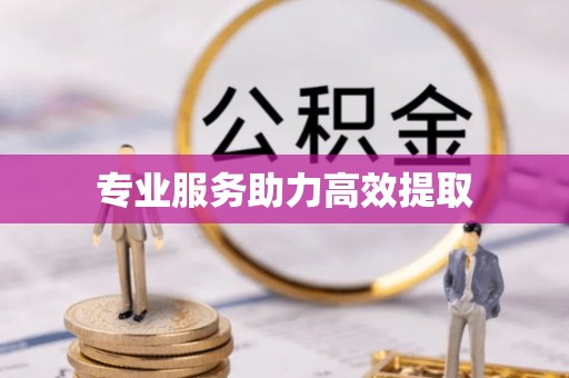 关山专业服务助力高效提取