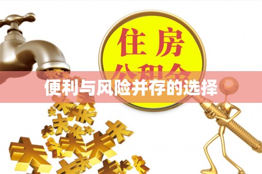 关山便利与风险并存的选择