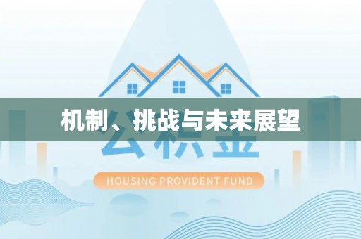 关山机制、挑战与未来展望
